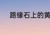 路缘石上的黄虚线的含义是什么
