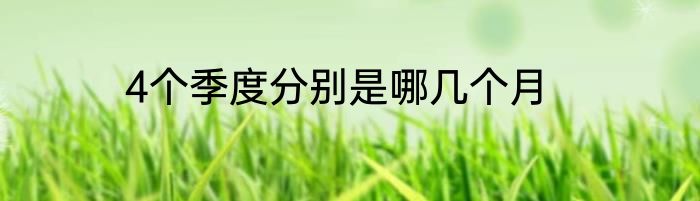 4个季度分别是哪几个月