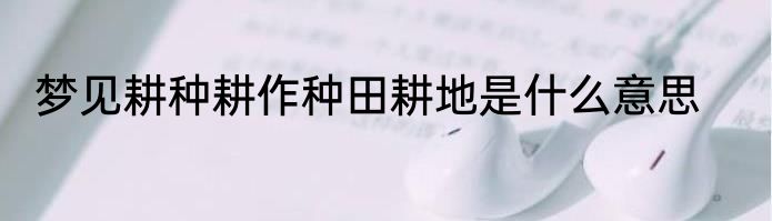 梦见耕种耕作种田耕地是什么意思
