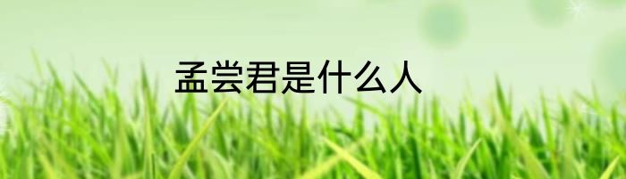 孟尝君是什么人