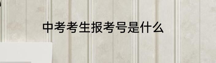 中考考生报考号是什么