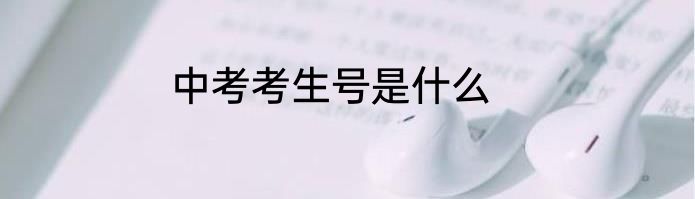 中考考生号是什么