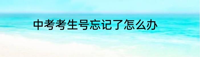 中考考生号忘记了怎么办