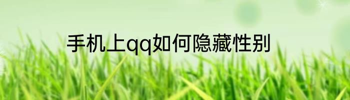 手机上qq如何隐藏性别
