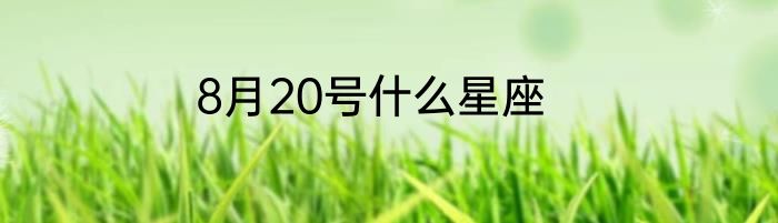 8月20号什么星座
