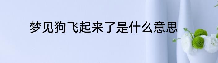 梦见狗飞起来了是什么意思