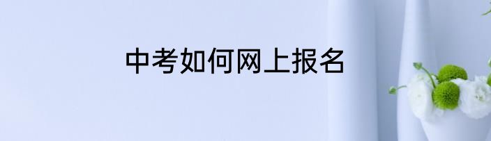 中考如何网上报名