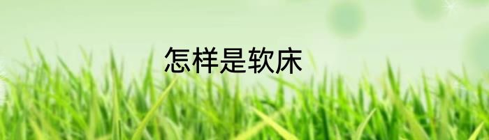 怎样是软床