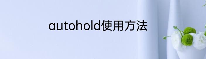 autohold使用方法