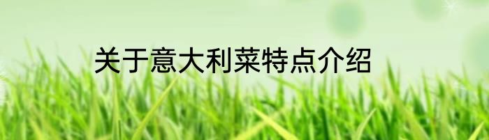 关于意大利菜特点介绍