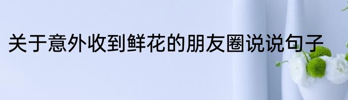 关于意外收到鲜花的朋友圈说说句子