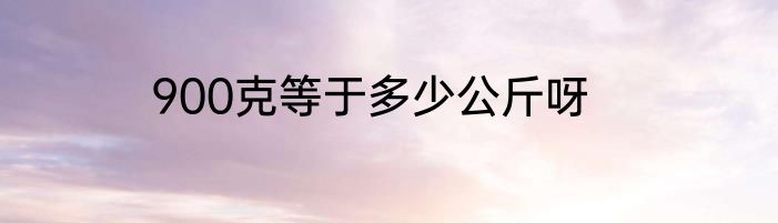 900克等于多少公斤呀