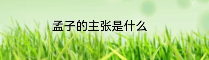 孟子的主张是什么