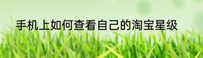 手机上如何查看自己的淘宝星级
