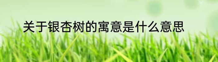 关于银杏树的寓意是什么意思