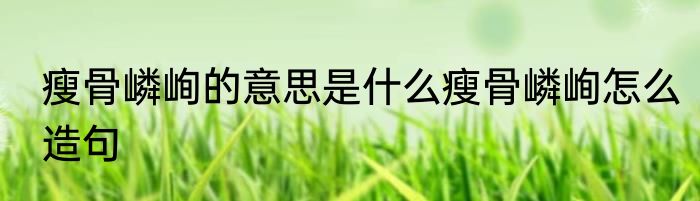 瘦骨嶙峋的意思是什么瘦骨嶙峋怎么造句