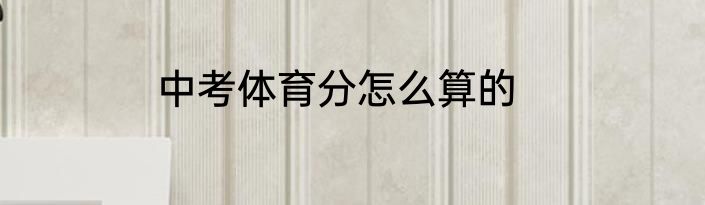 中考体育分怎么算的