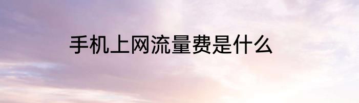手机上网流量费是什么
