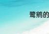 鹭鹓的意思是什么