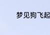 梦见狗飞起来了是什么意思