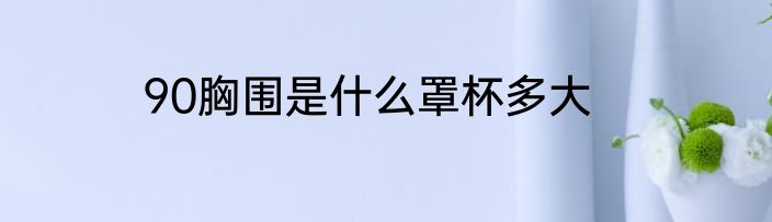 90胸围是什么罩杯多大
