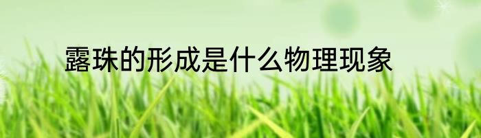 露珠的形成是什么物理现象