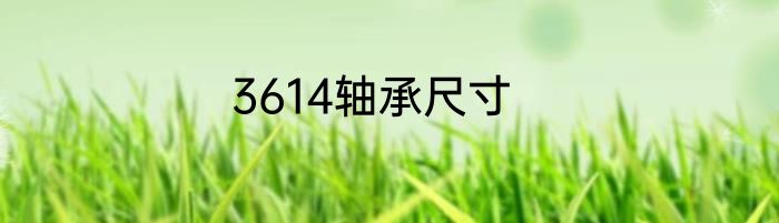 3614轴承尺寸