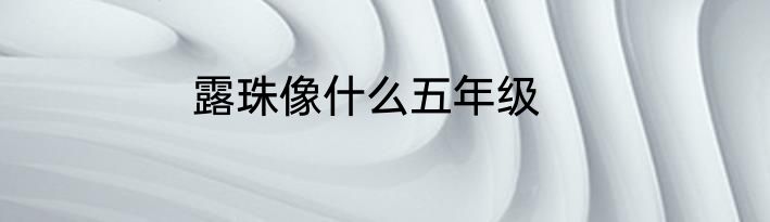 露珠像什么五年级