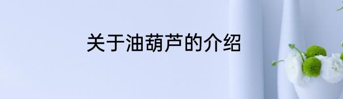 关于油葫芦的介绍