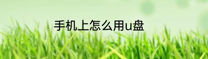 手机上怎么用u盘