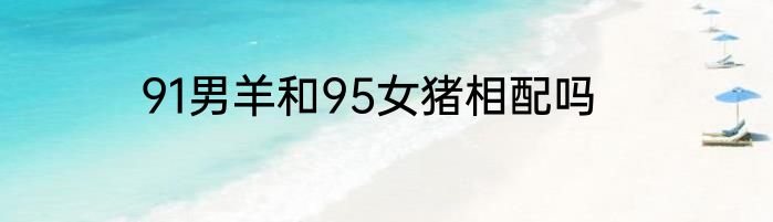 91男羊和95女猪相配吗