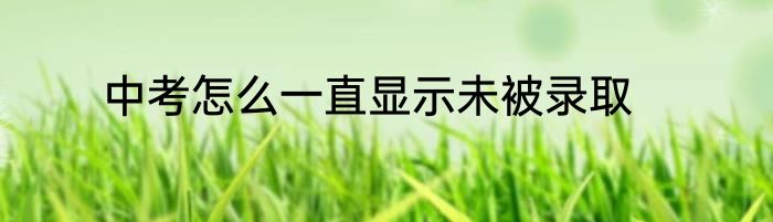 中考怎么一直显示未被录取