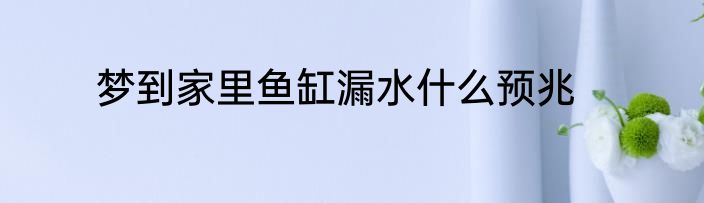 梦到家里鱼缸漏水什么预兆