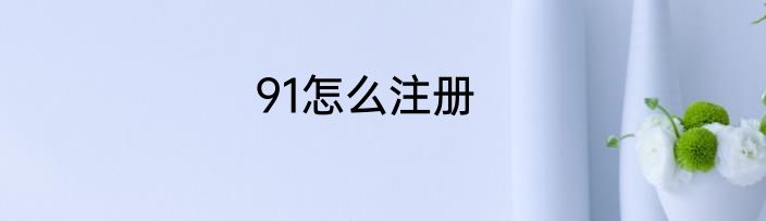 91怎么注册