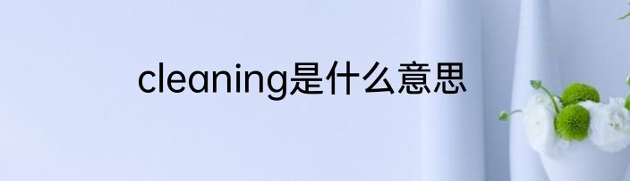 cleaning是什么意思
