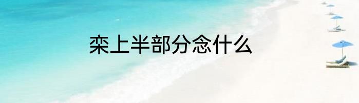 栾上半部分念什么