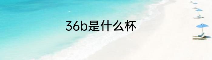36b是什么杯