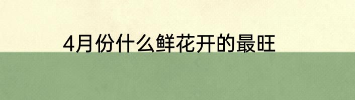 4月份什么鲜花开的最旺
