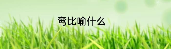 鸾比喻什么