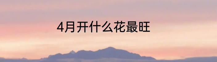 4月开什么花最旺