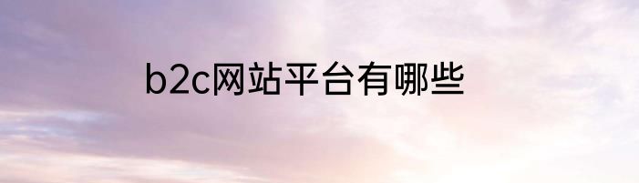b2c网站平台有哪些