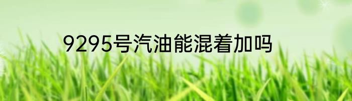 9295号汽油能混着加吗