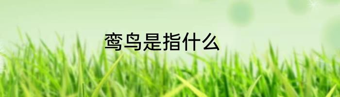 鸾鸟是指什么