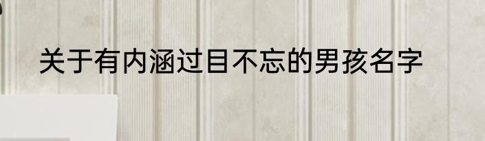 关于有内涵过目不忘的男孩名字