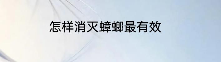 怎样消灭蟑螂最有效