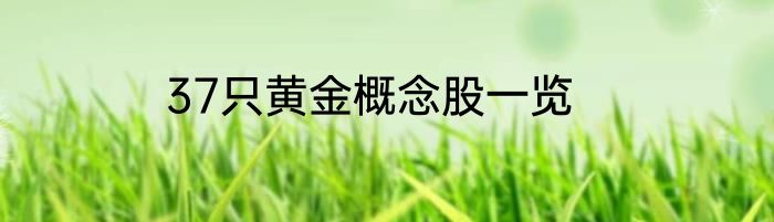 37只黄金概念股一览