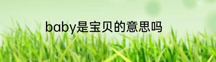 baby是宝贝的意思吗