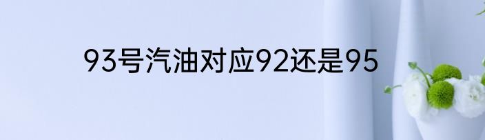 93号汽油对应92还是95