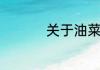 关于油菜花的唯美短句