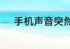 手机声音突然变小了是怎么回事